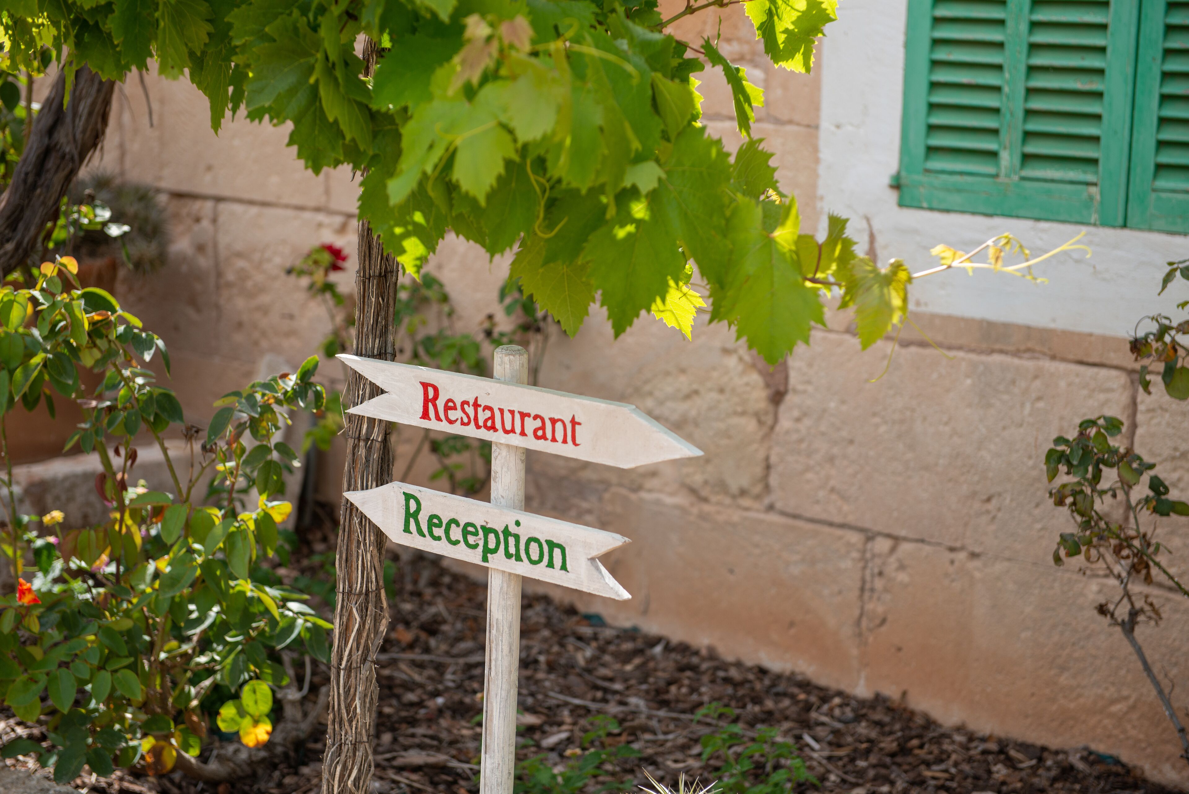 Foto - Finca Hotel Can Canals & Spa