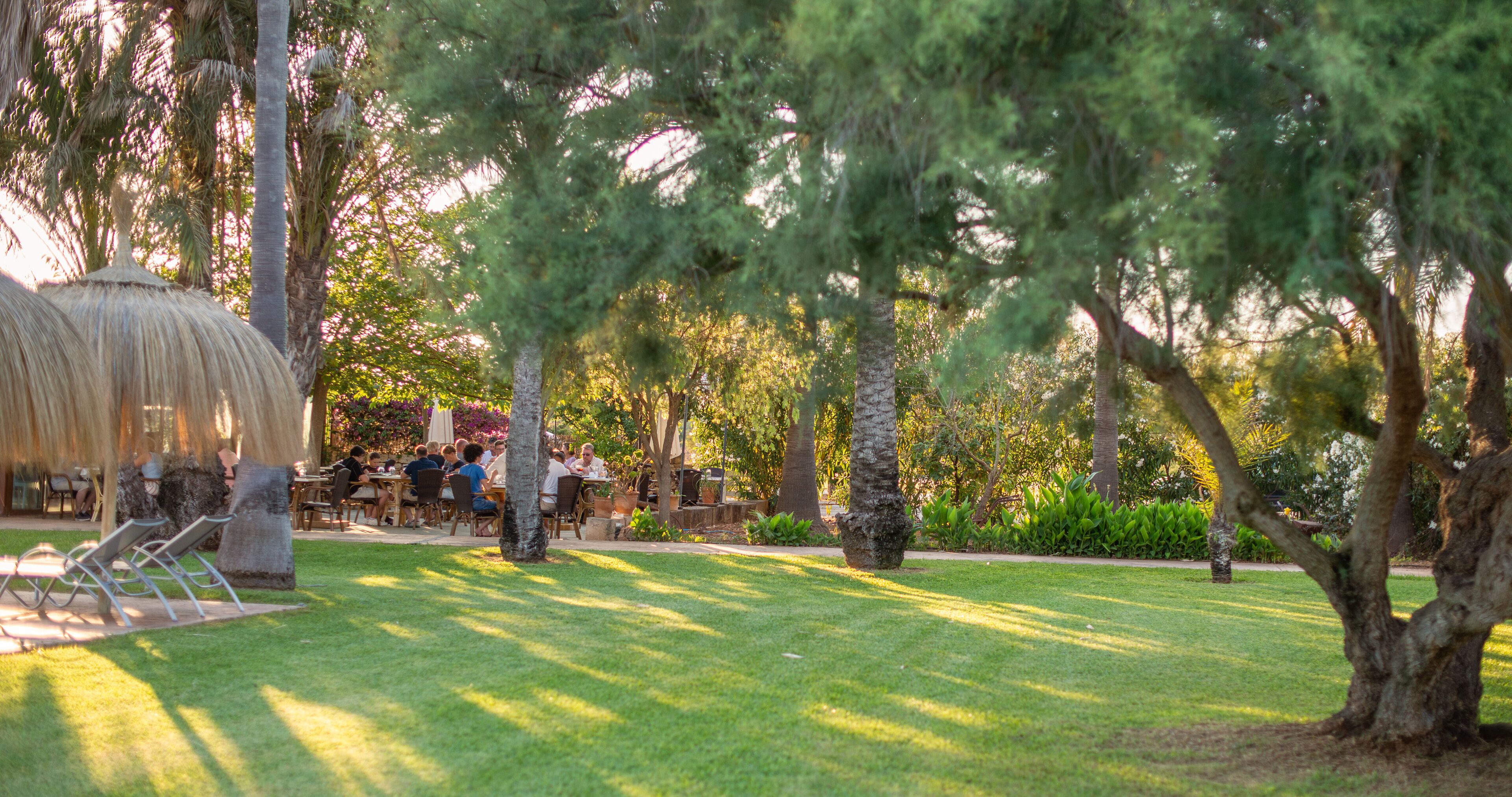 An outdoor dining area with tables and chairs, surrounded by trees and a thatched structure.