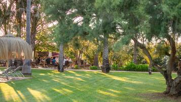 An outdoor dining area with tables and chairs, surrounded by trees and a thatched structure.