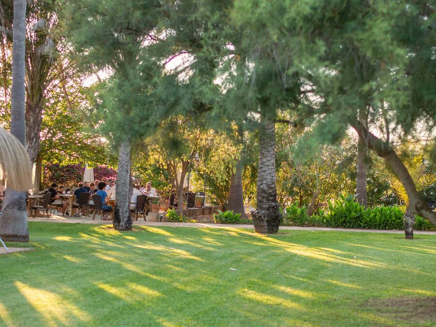 An outdoor dining area with tables and chairs, surrounded by trees and a thatched structure.