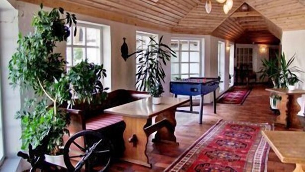 Una habitación rústica con vigas de madera, una mesa de billar y varias plantas en macetas.