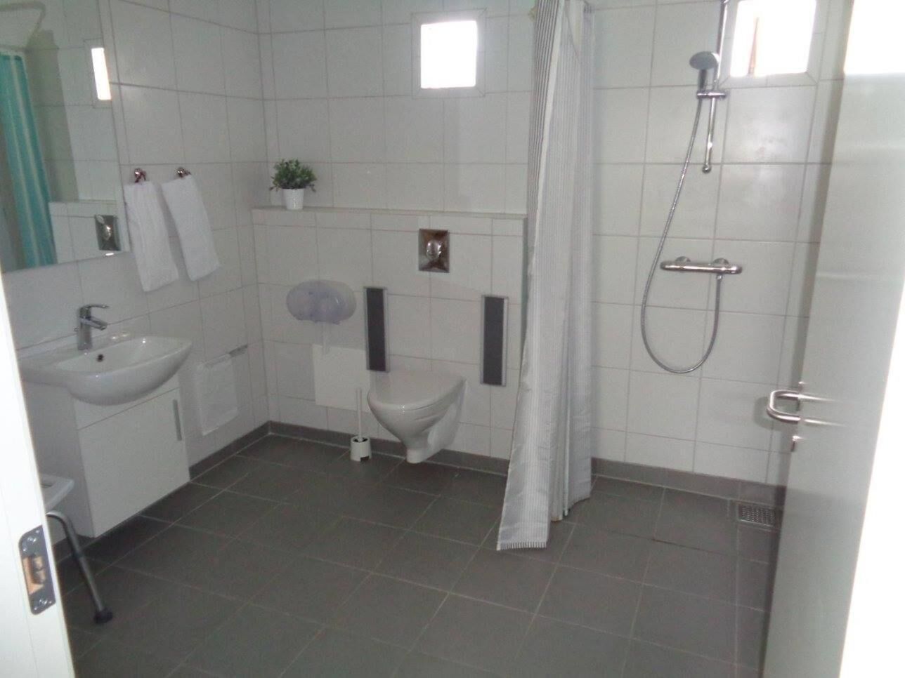 A bathroom with a sink, toilet, shower, and a small potted plant.