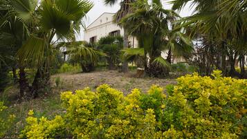 المنطقة المحيطة بالمنشأة