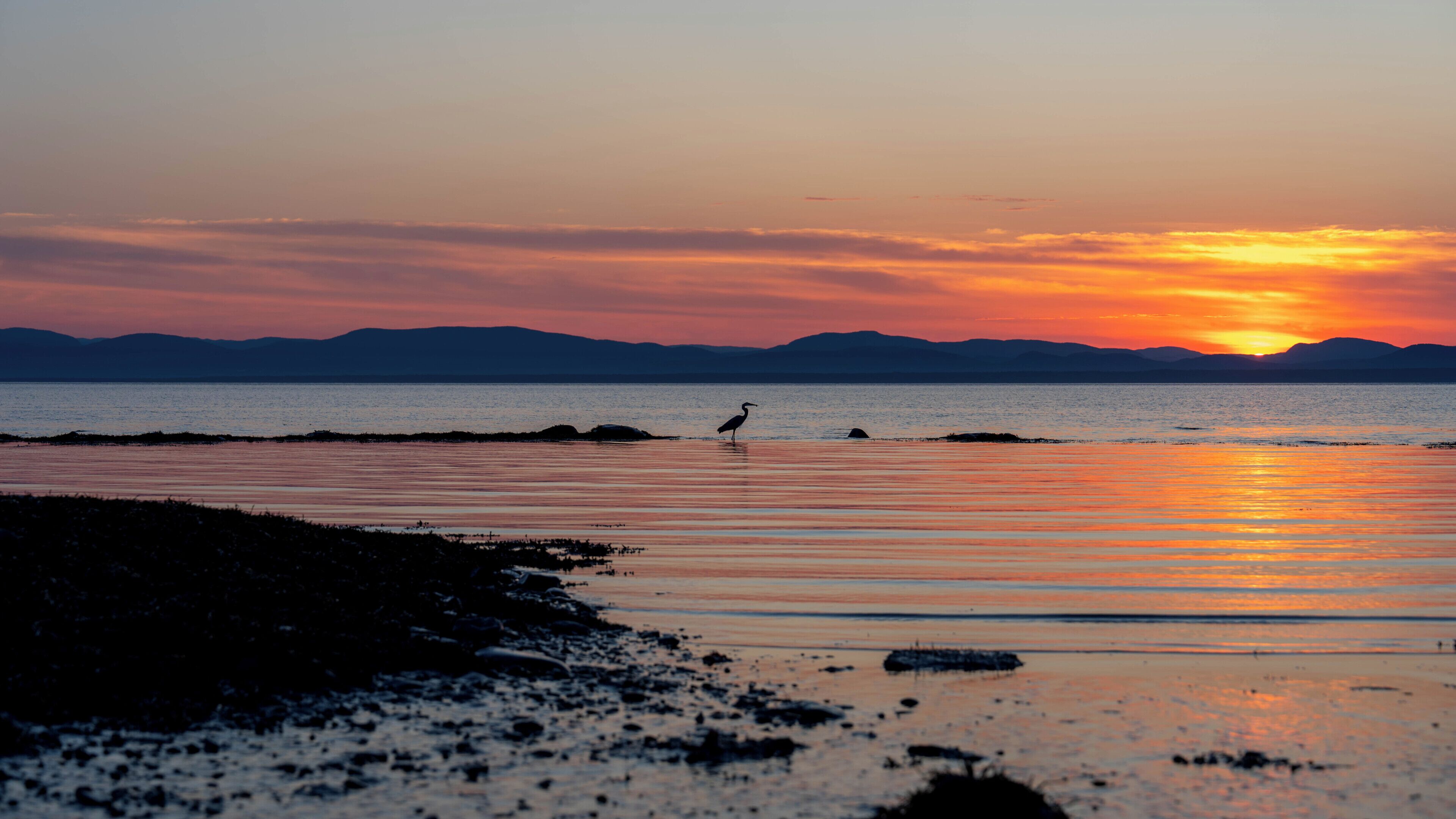 Ein Sonnenuntergang über ruhigem Wasser mit der Silhouette eines Vogels und fernen Bergen.
