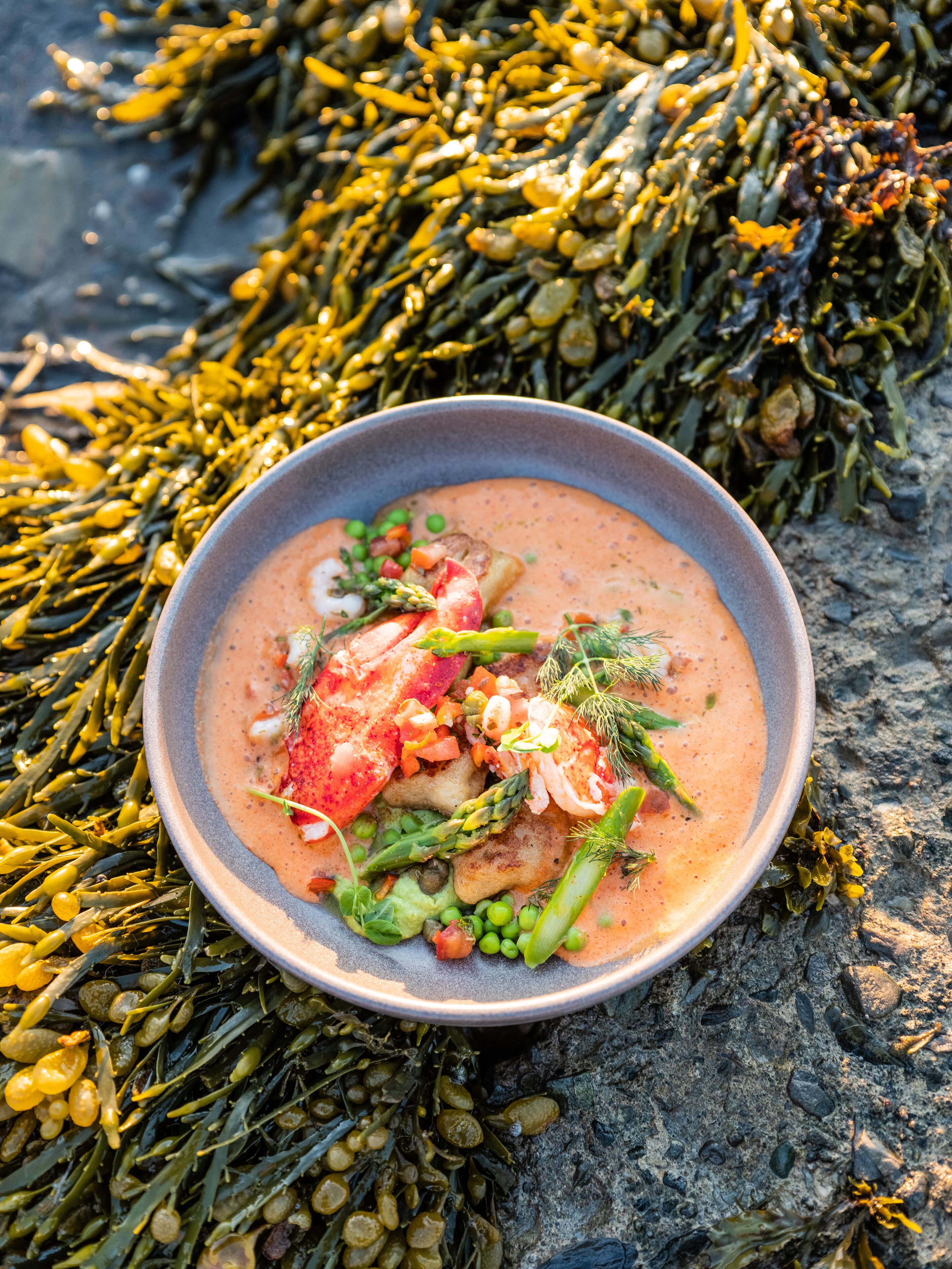 breakfast, dinner served; french cuisine, sea views