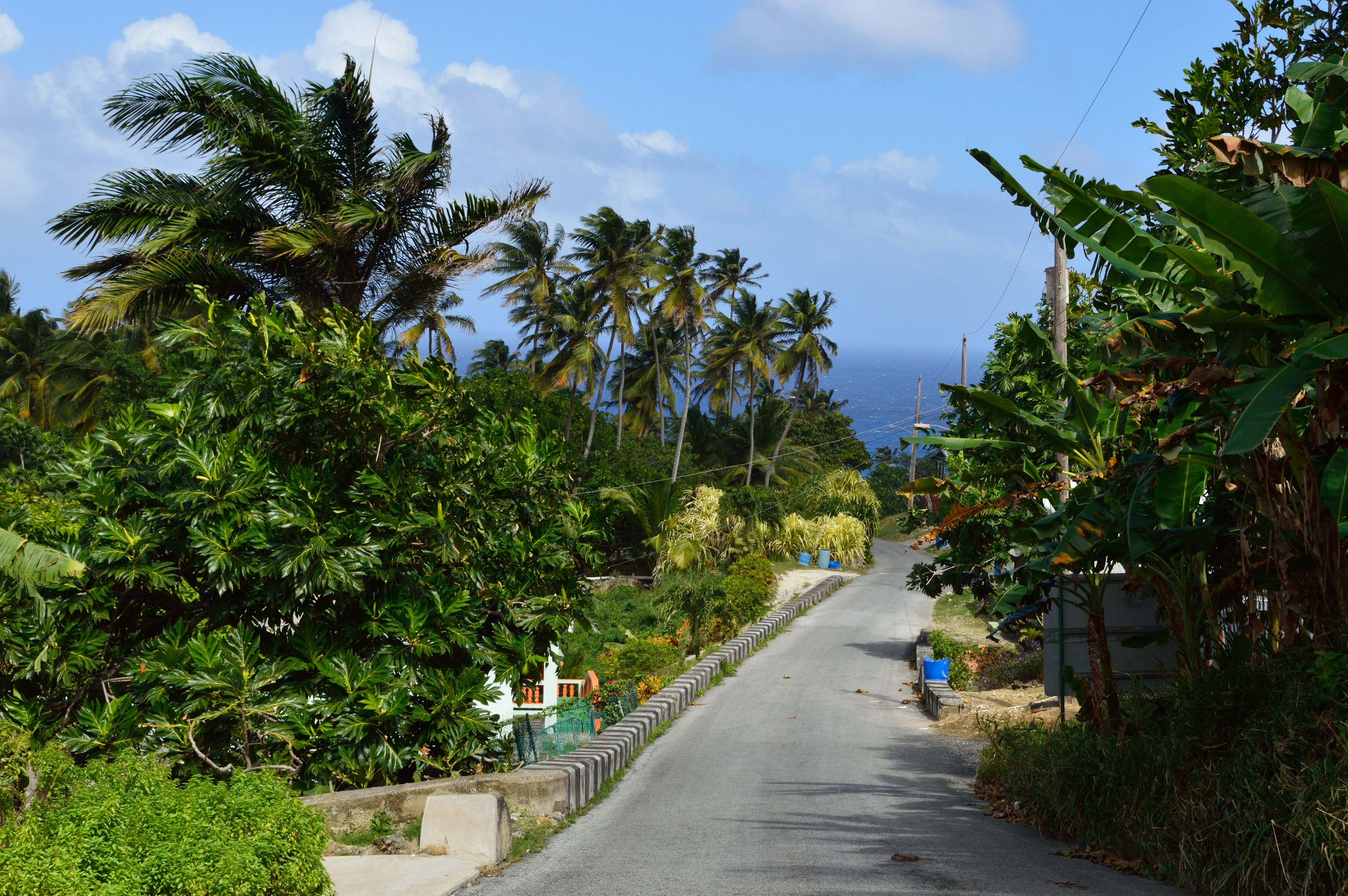 beach nearby, white sand