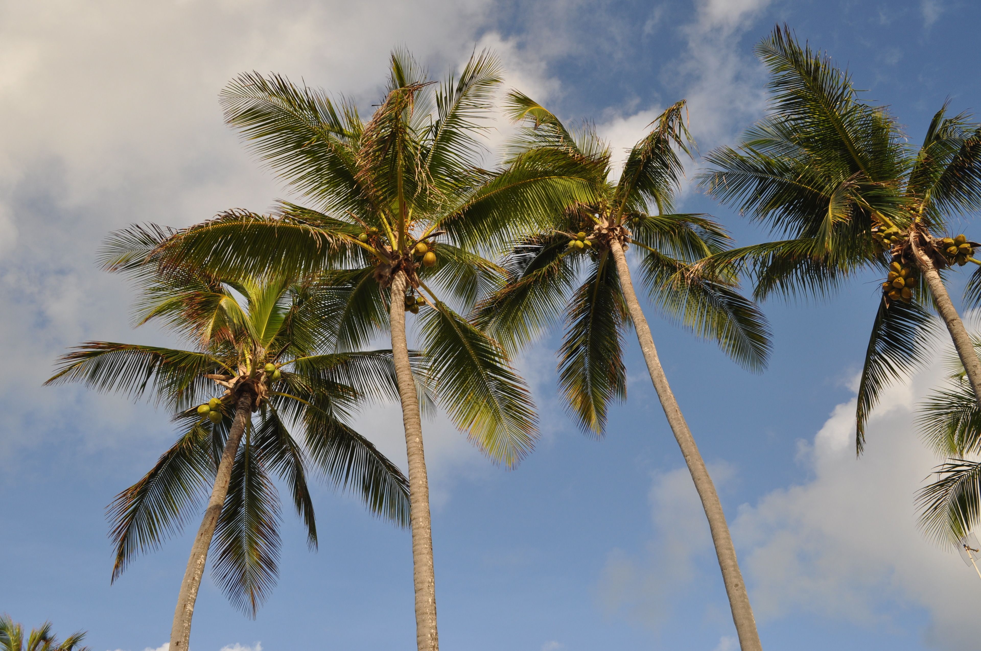 beach nearby, white sand