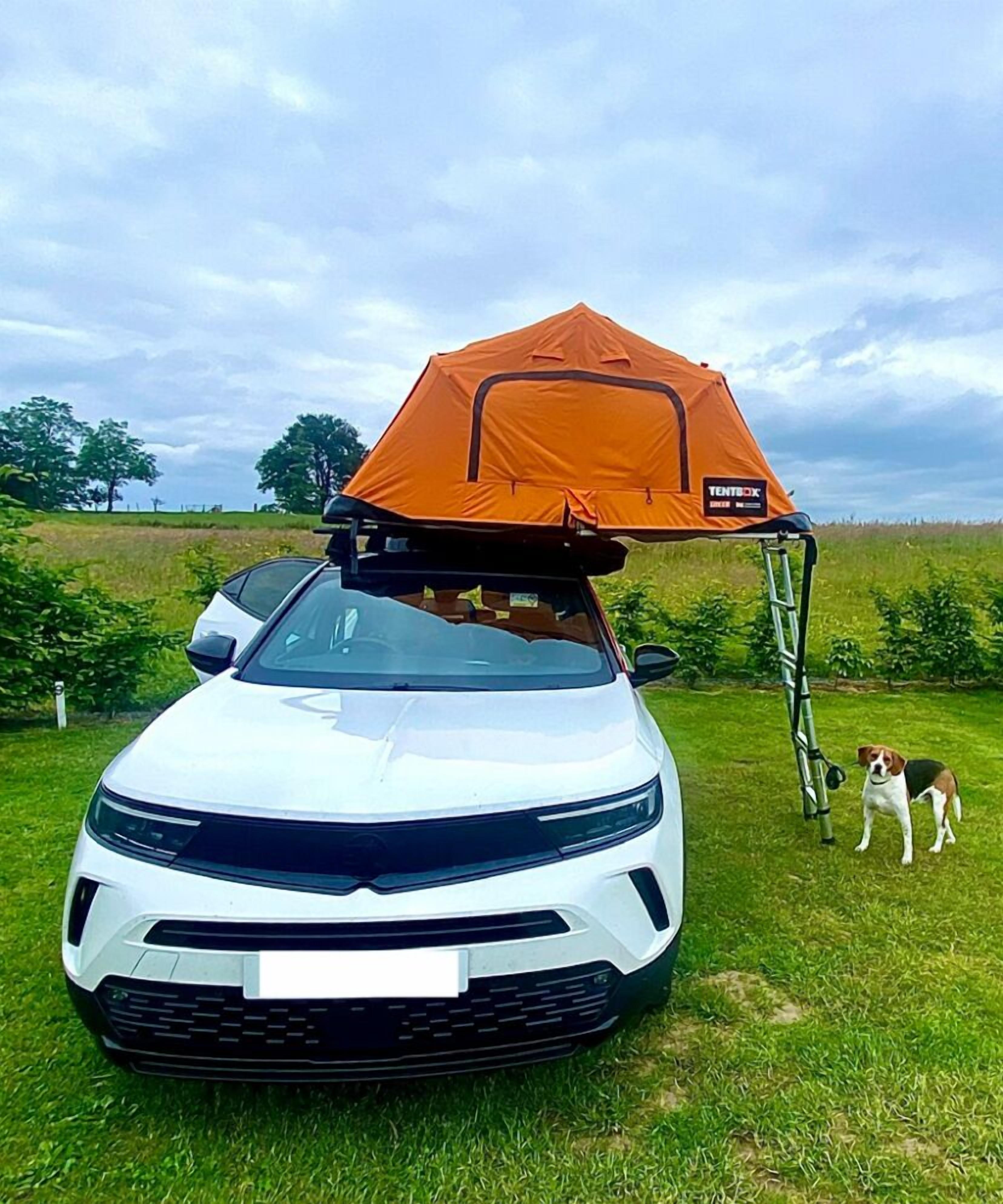 Une voiture blanche avec une tente orange sur le toit, garée sur de l’herbe, avec un chien à proximité.