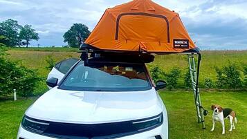 Une voiture blanche avec une tente orange sur le toit, garée sur de l’herbe, avec un chien à proximité.