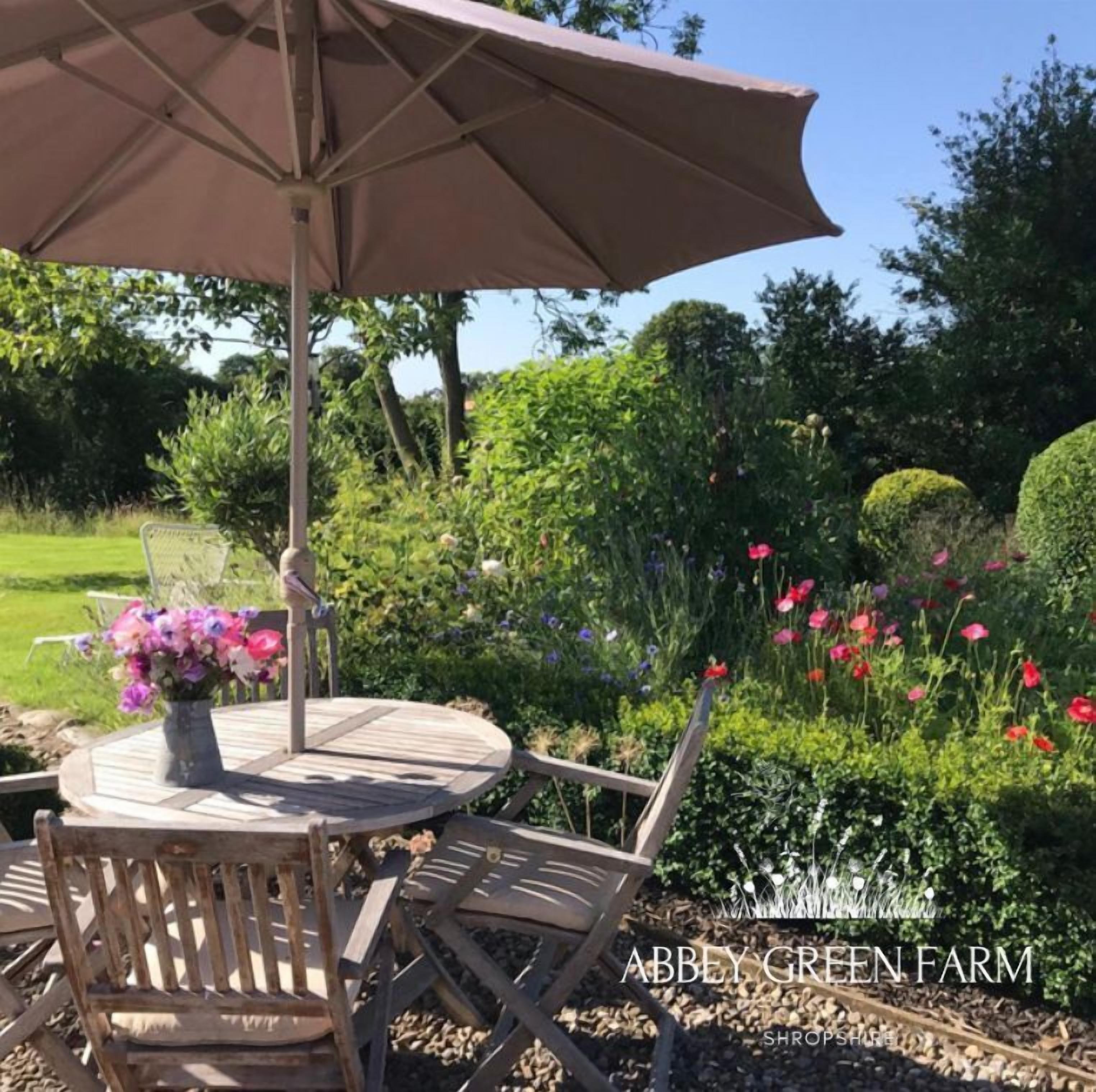 A round wooden table with a metal chair and a large umbrella, surrounded by a garden with various plants and flowers.