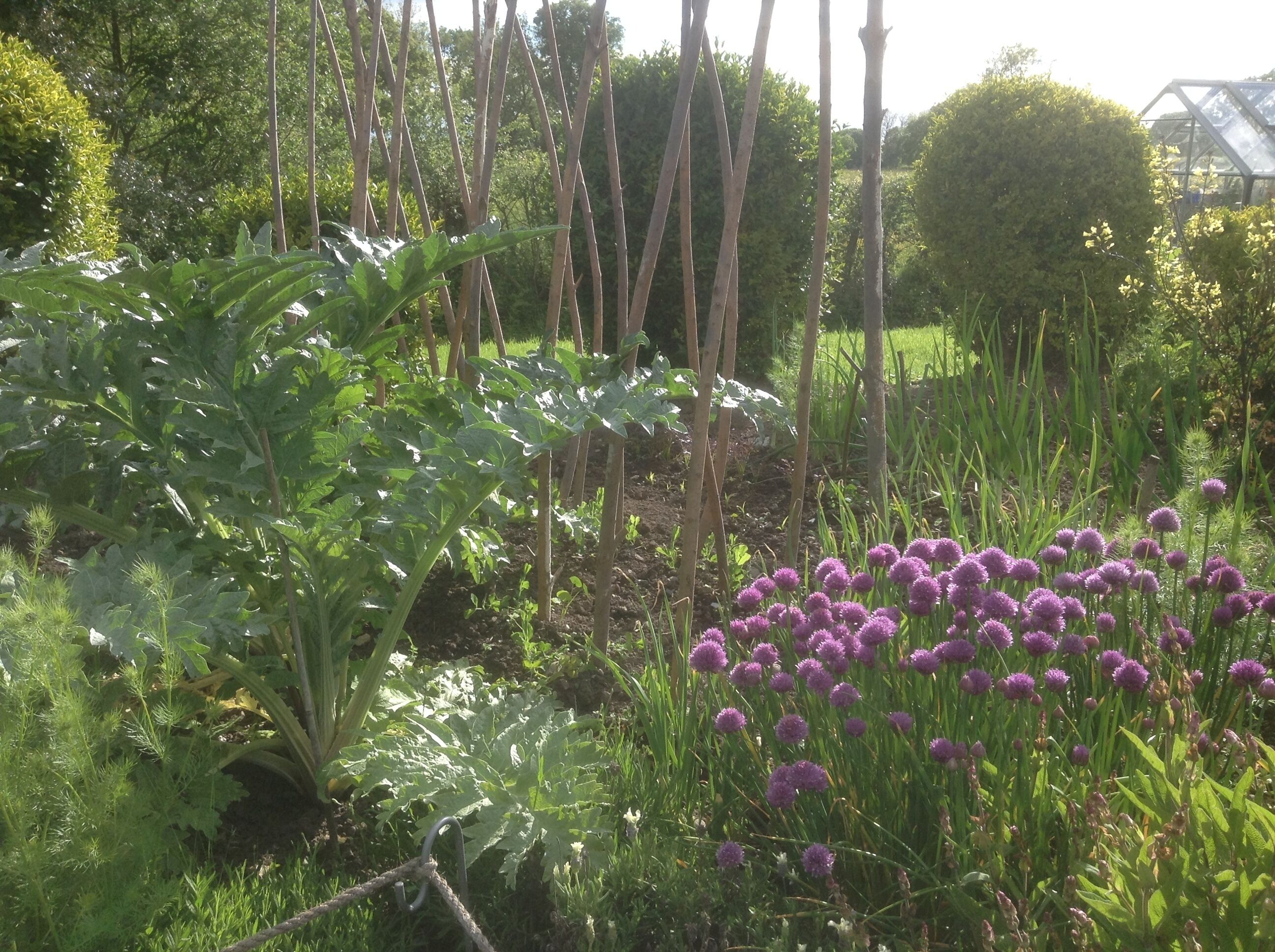 Ein Garten mit verschiedenen Pflanzen und einem Gewächshaus.