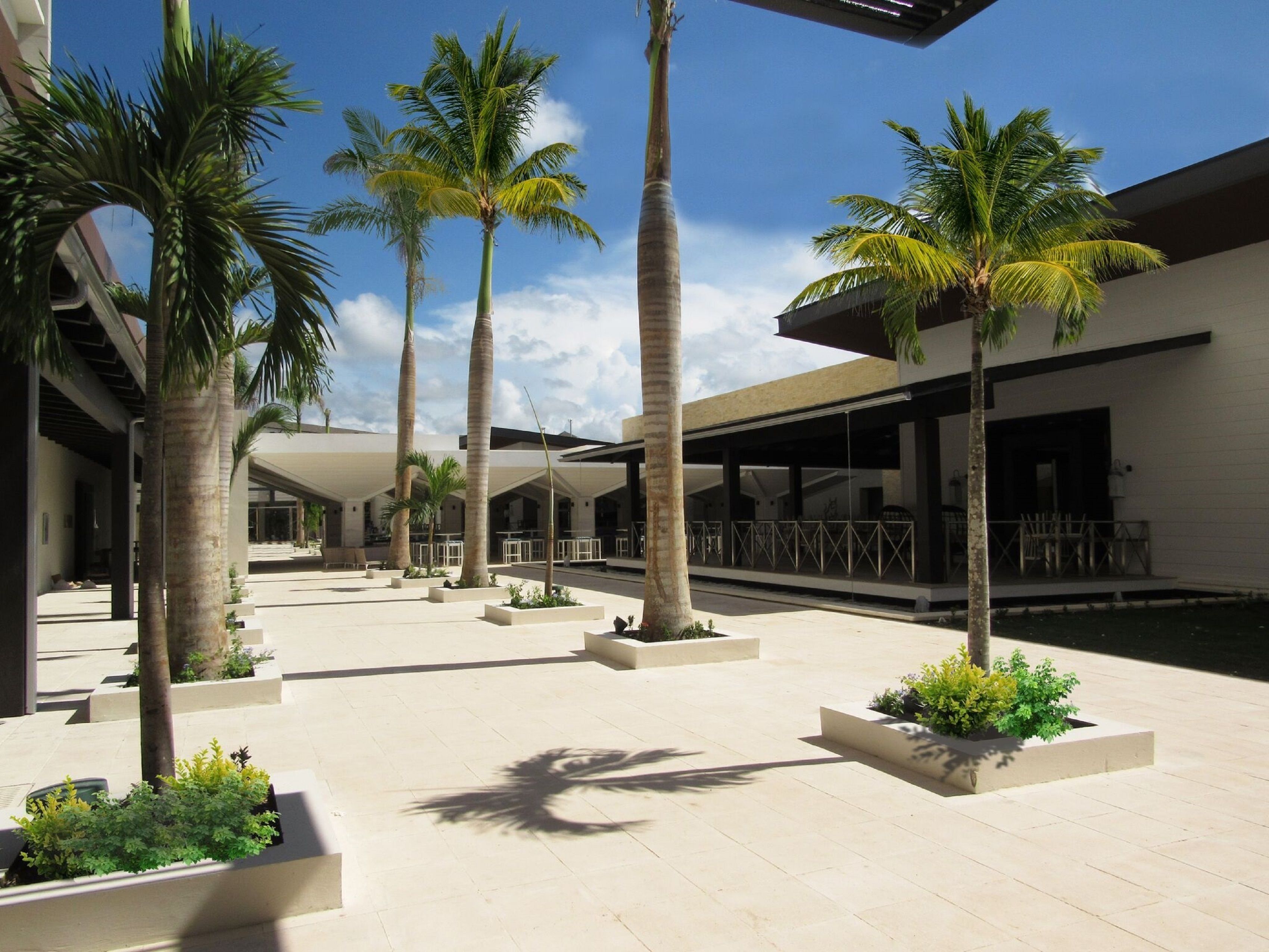 A modern hotel courtyard with palm trees, outdoor seating, and a pool.