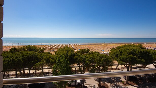 A beach view with rows of umbrellas and beach chairs, trees, and a clear sky. - Hotel Ambra (Lignano Sabbiadoro)