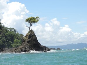 Exterior - Posada Los Delfines (Bahia Solano)