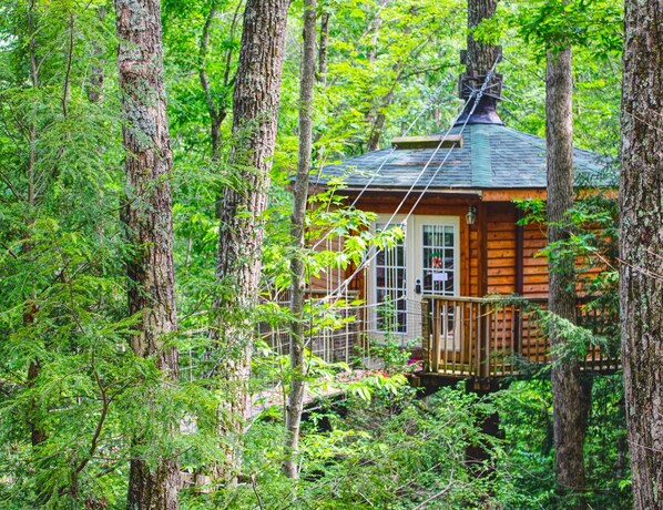 Panoramic Tree House, 1 Bedroom, Hot Tub, Mountainside | Iron/ironing board, free WiFi, bed sheets - Country Road Cabins (Hico)