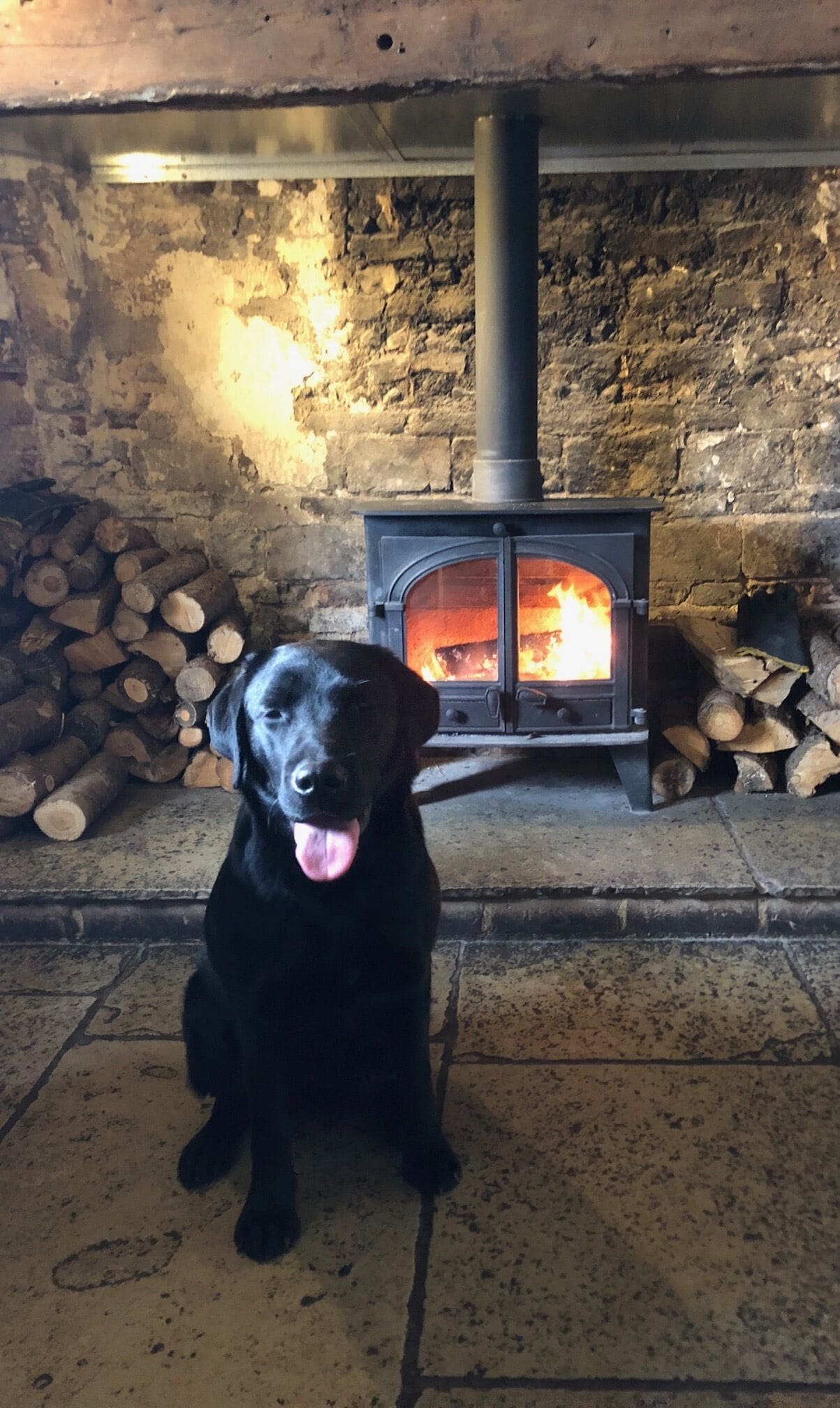 A black dog sitting in front of a wood-burning stove with logs stacked beside it.