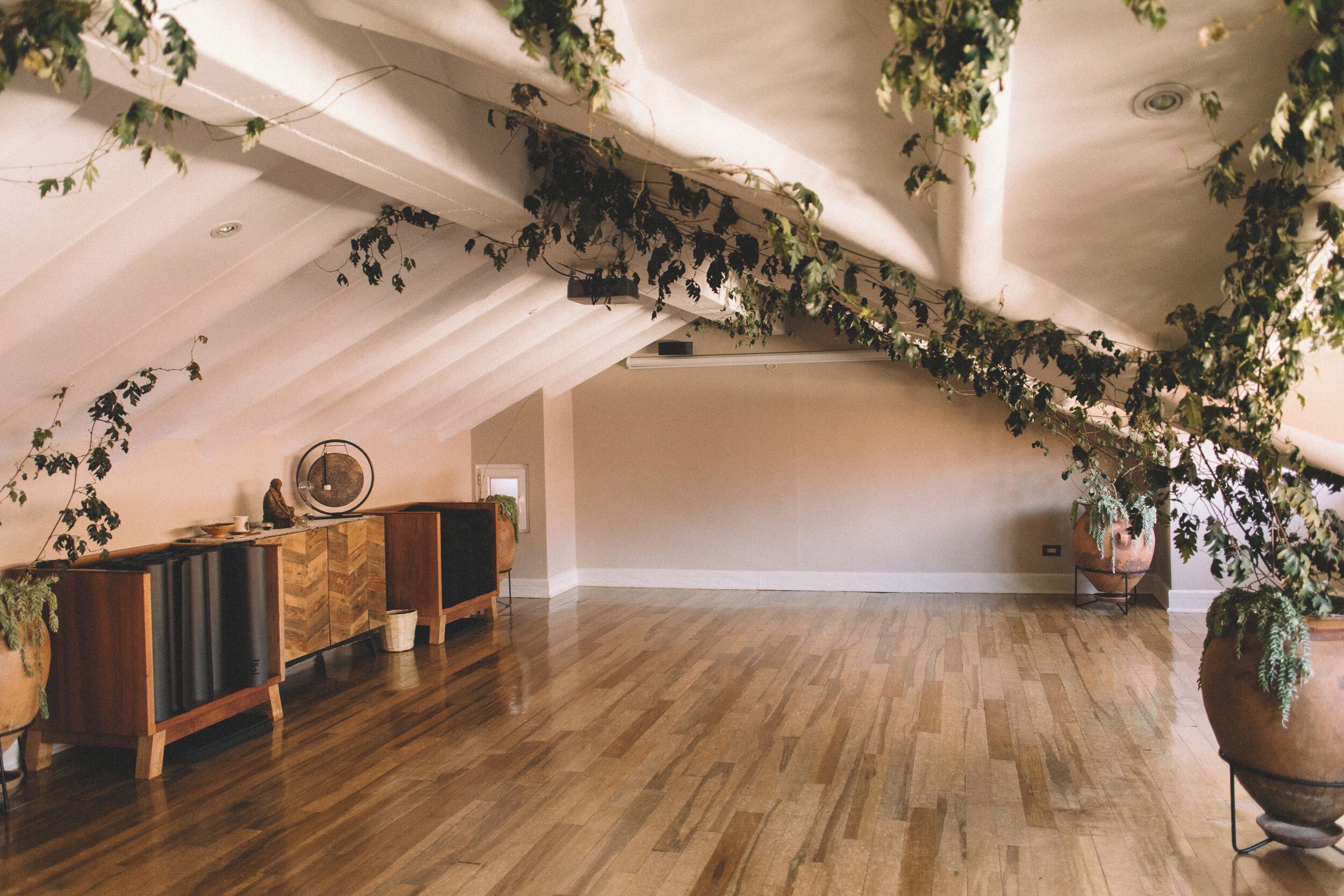 An attic room with wooden flooring, a wooden cabinet, and a ceiling with hanging vines.