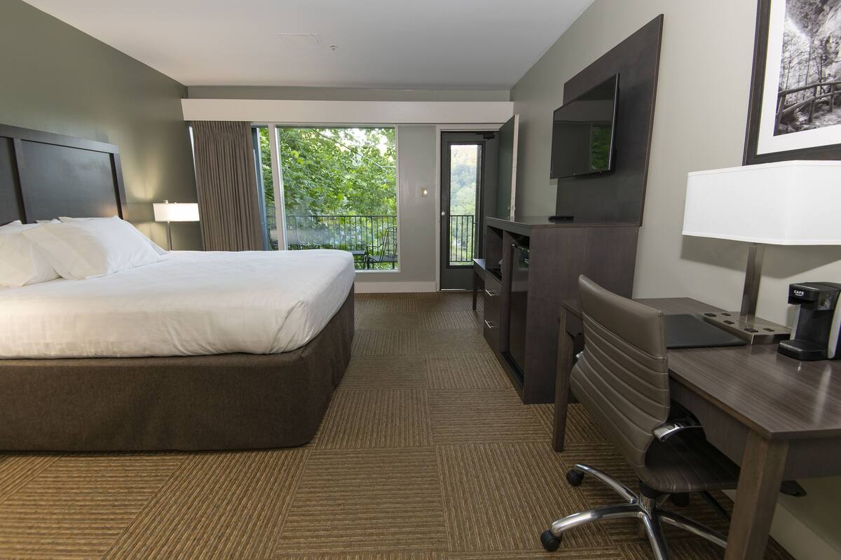 A hotel room with a large bed, a desk with a chair, a TV, and a balcony with a view of trees.