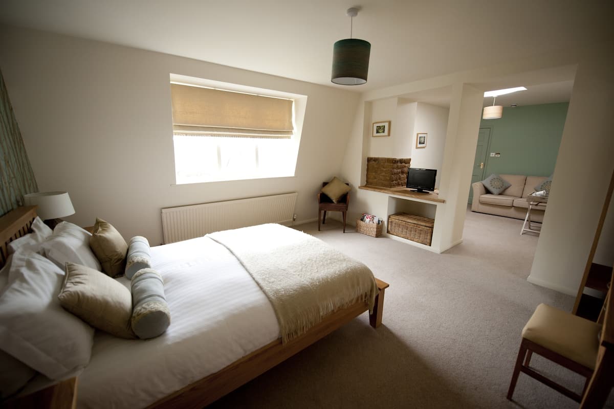 A bedroom with a large bed, a window with blinds, a television on a stand, a chair, and a sofa in the adjacent living area.