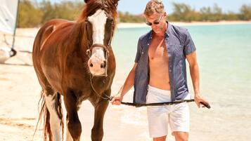 A person leading a horse on a beach with clear water and a sailboat in the background.