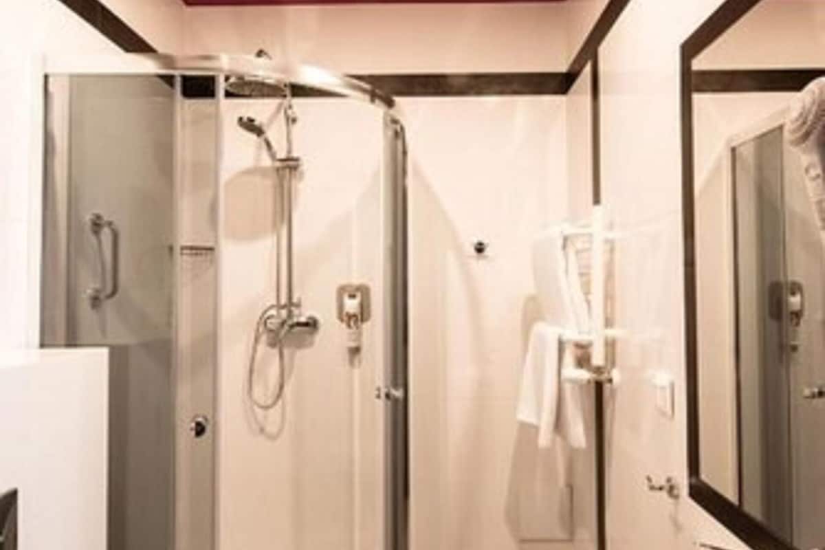 standard room, 1 double bed | bathroom | shower, eco-friendly toiletries, hair dryer, towels