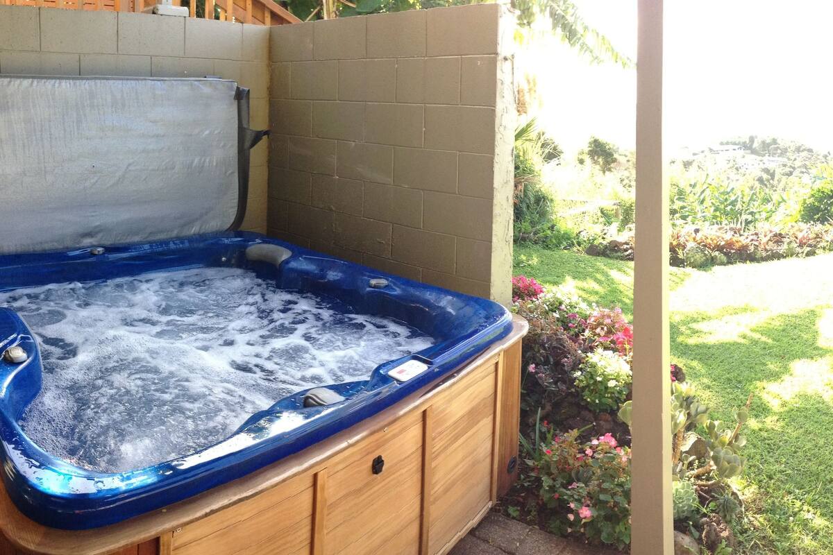 Un jacuzzi con gabinete de madera, frente a un jardín con diversas plantas y una vista despejada de un paisaje montañoso.