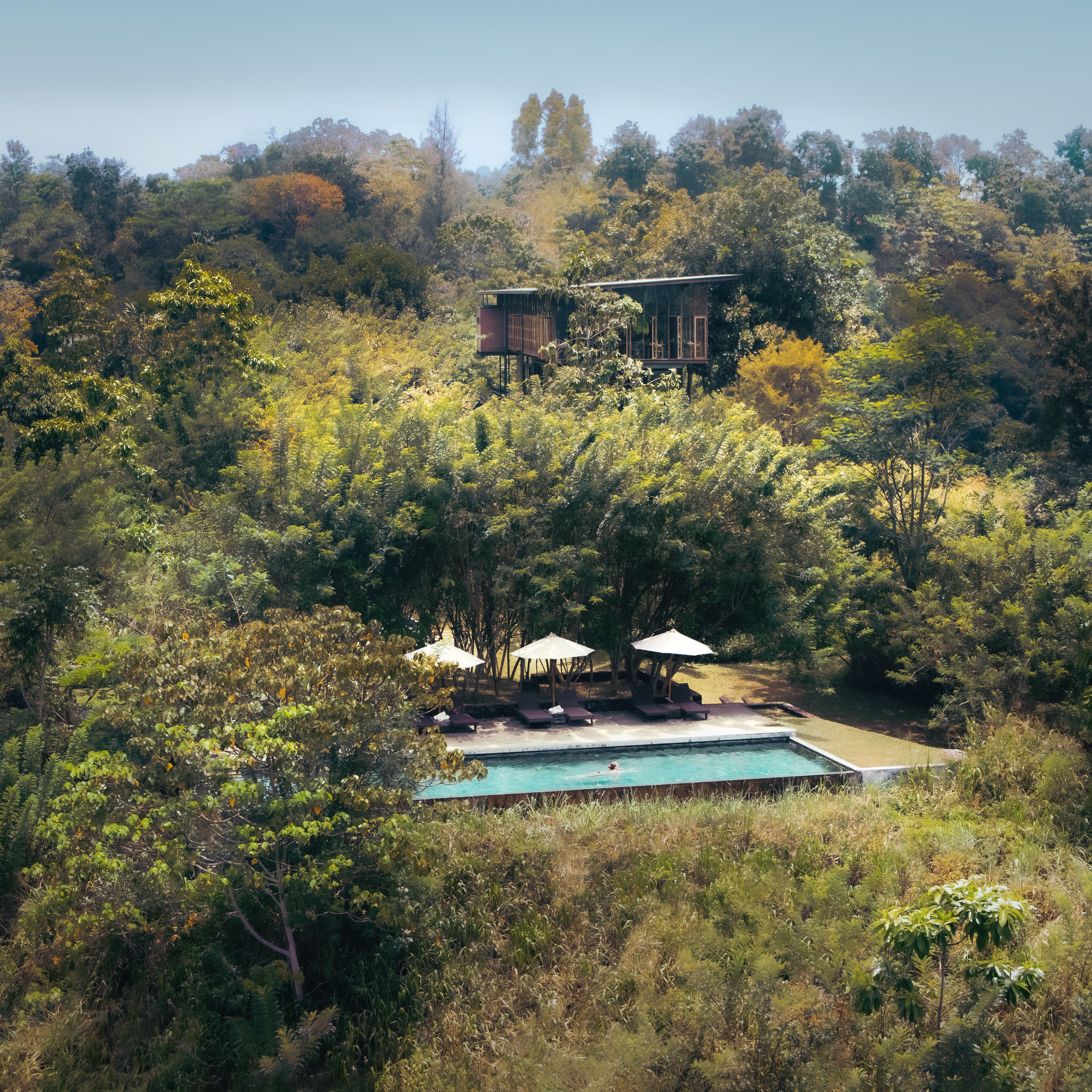 A pool area with lounge chairs and umbrellas, surrounded by dense foliage and a building in the background.