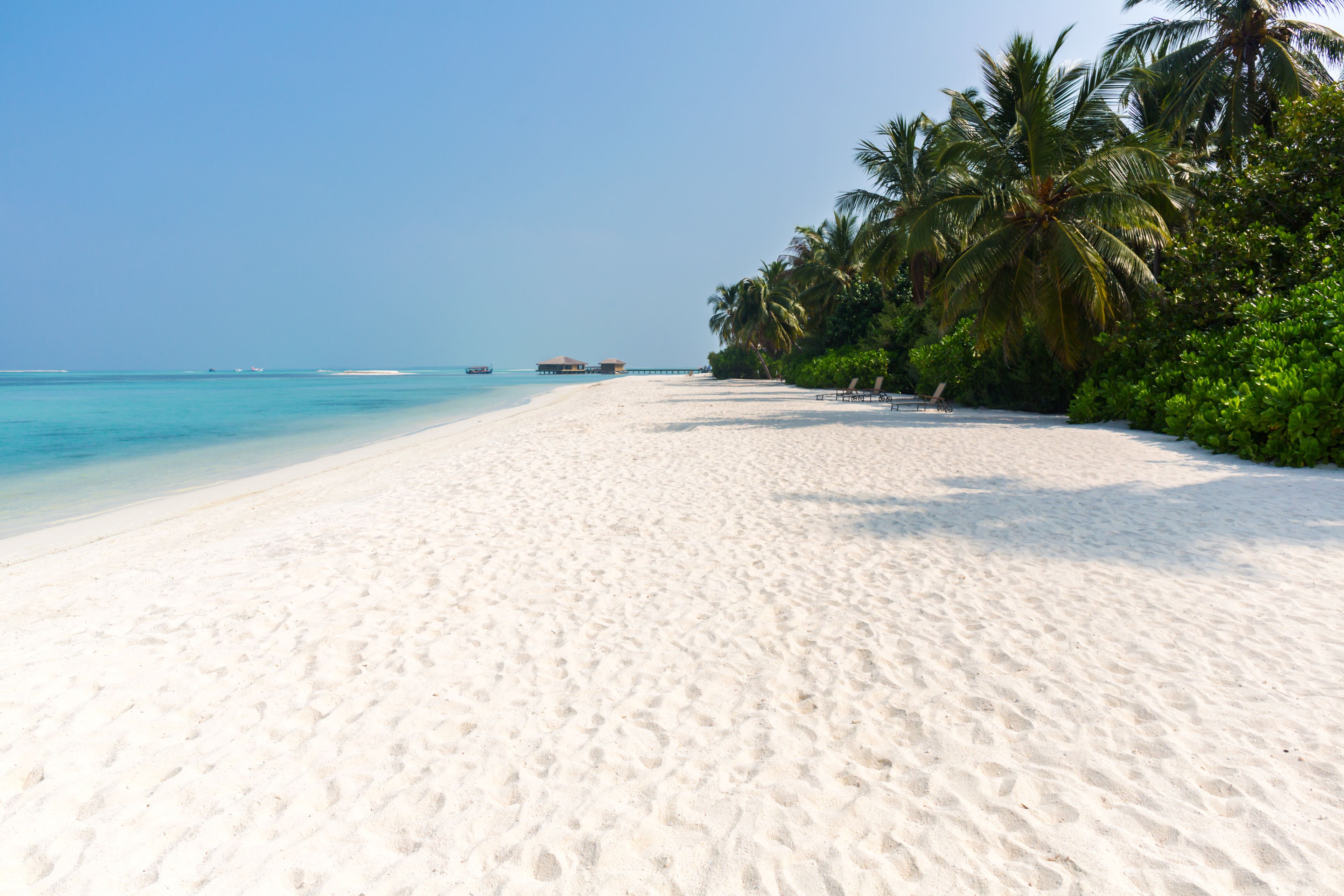 A beach with white sand, palm trees, and clear blue water.
