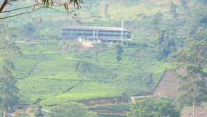 Un bâtiment doté d’un toit plat et de nombreuses fenêtres, entouré de plantations de thé aménagées en terrasses.