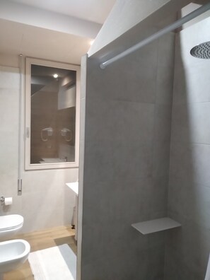 Regadera, secadora de cabello, bidet, toallas 
