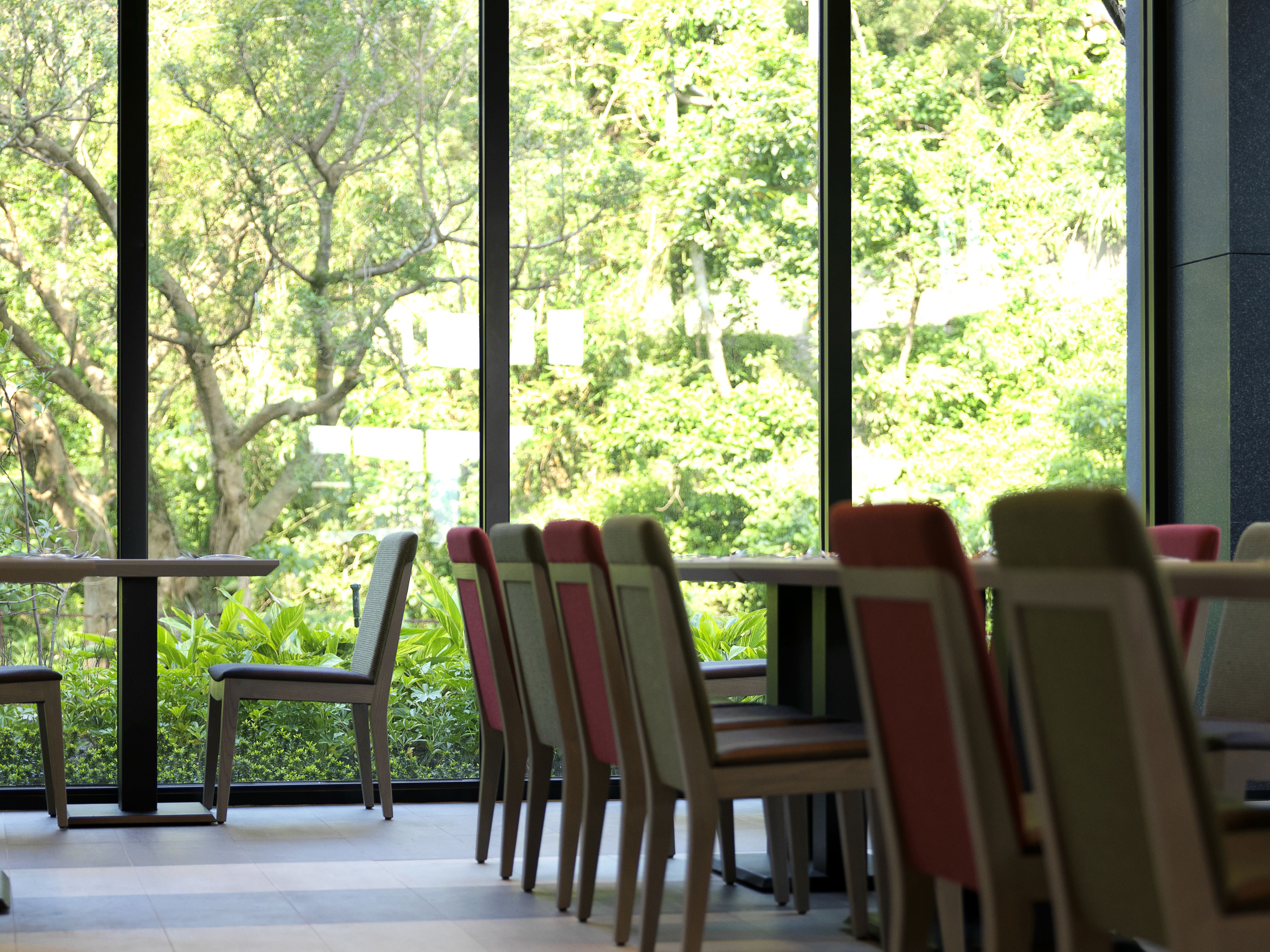 A row of chairs facing a large window with a view of trees.