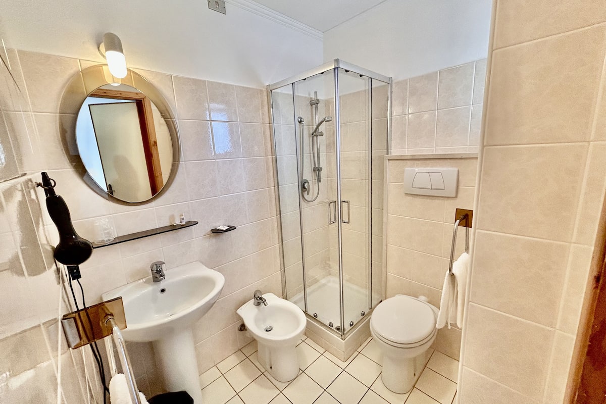 shower, hair dryer, bidet, towels