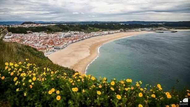 Uma cidade costeira com praia, uma muralha fortificada e flores amarelas em primeiro plano.