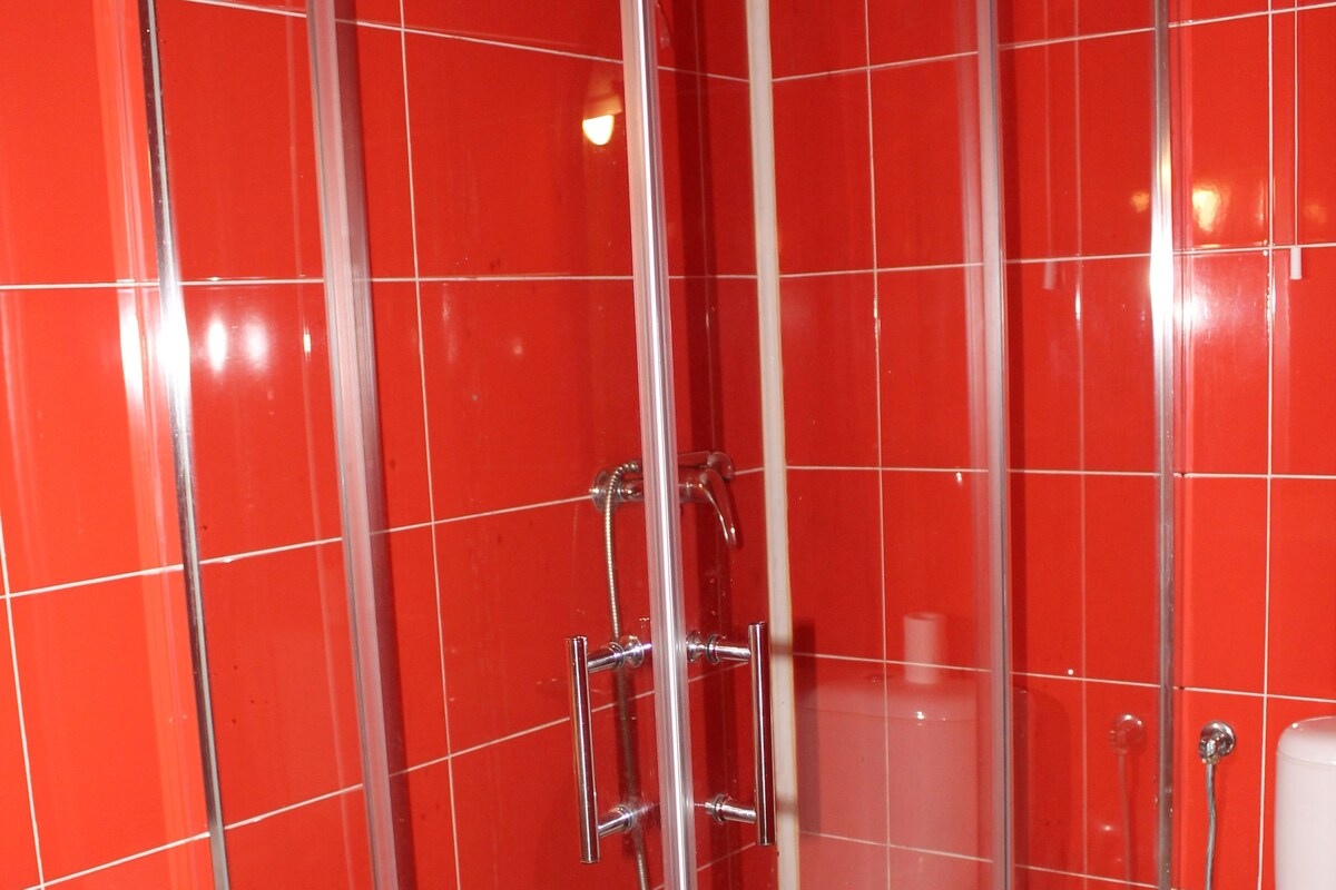 A glass-enclosed shower stall with a white toilet and a red-tiled wall.