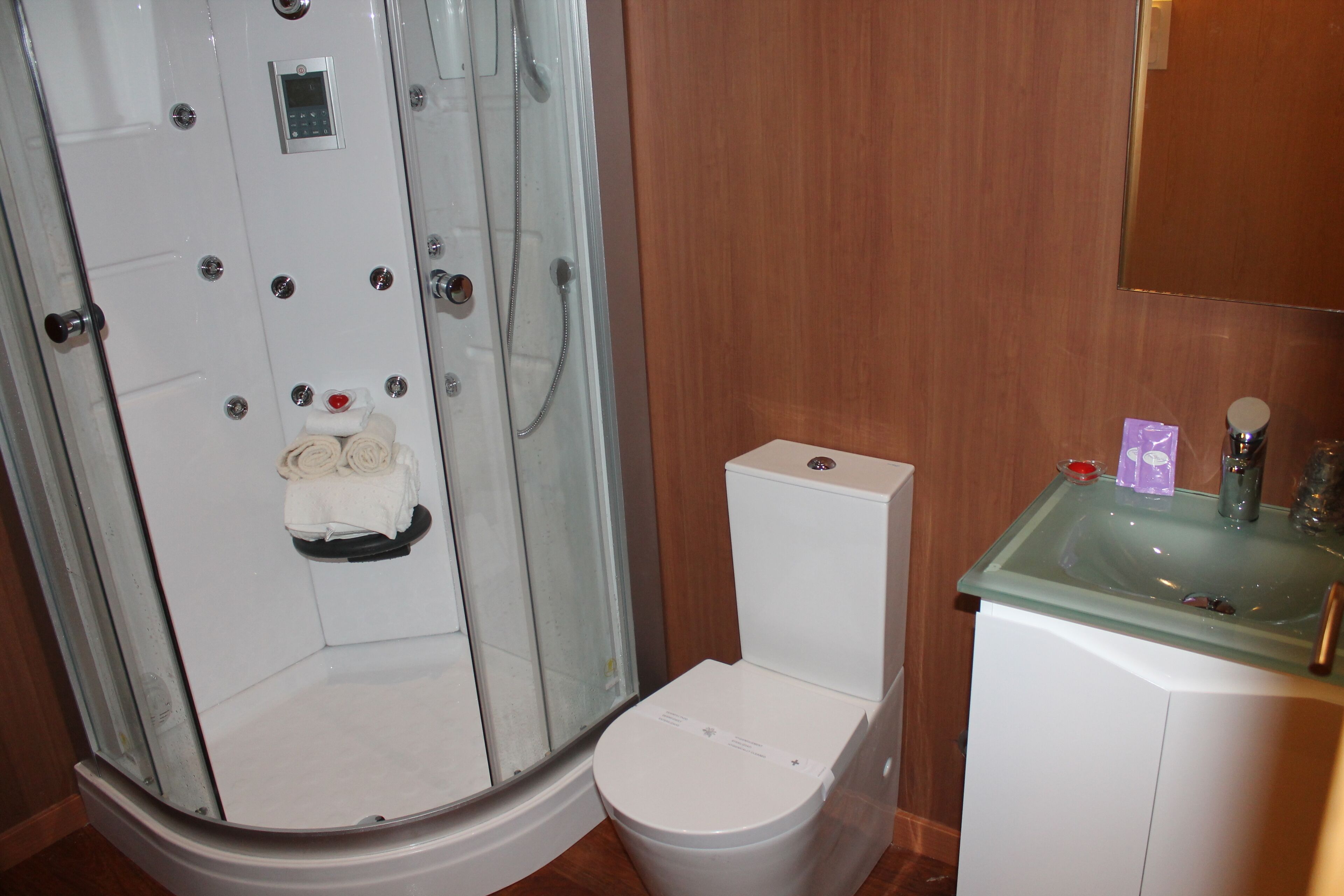 A bathroom with a glass-enclosed shower, a toilet, and a sink with toiletries.