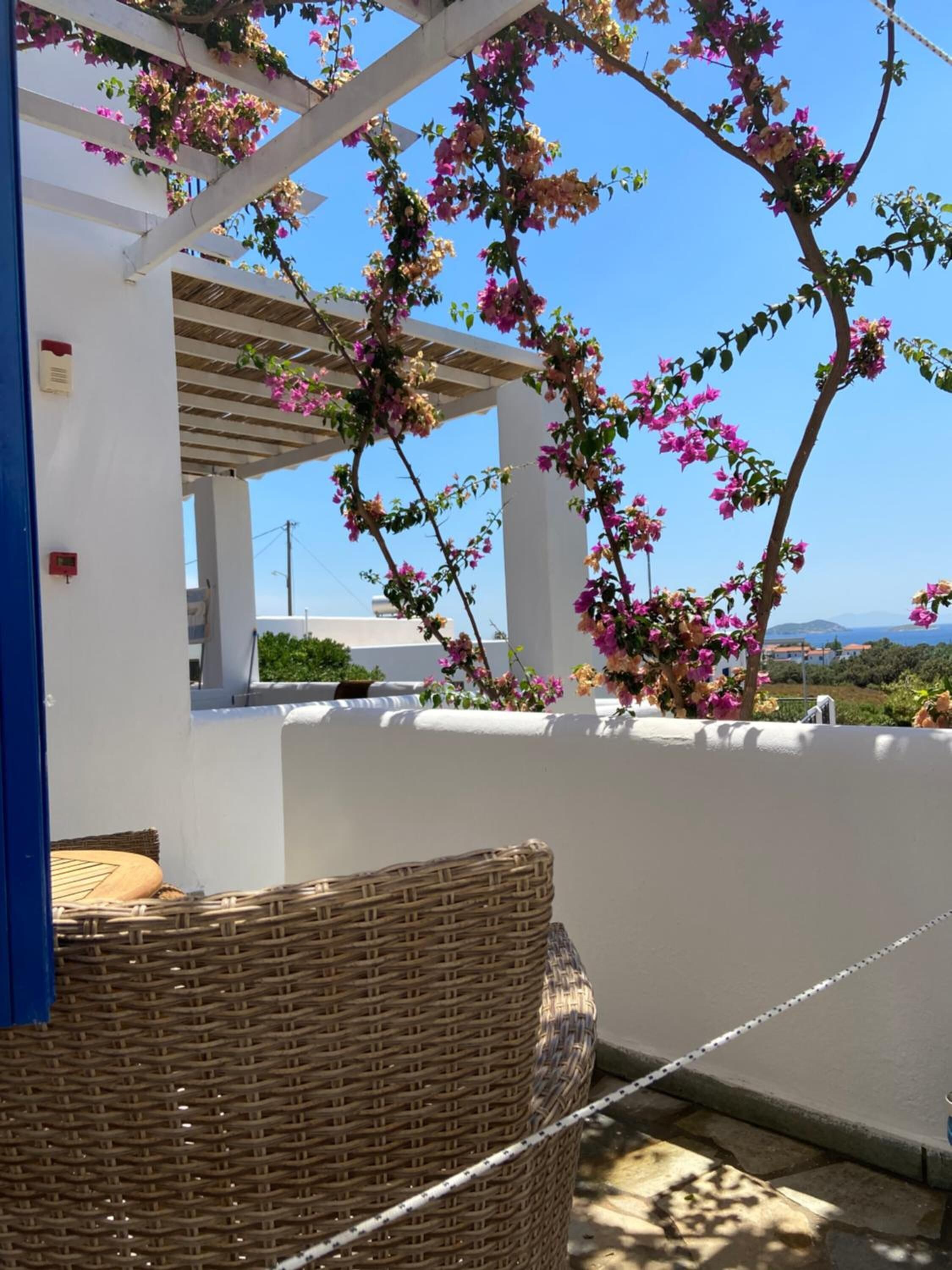 A white building with a covered patio area, a wicker chair, and pink bougainvillea flowers.