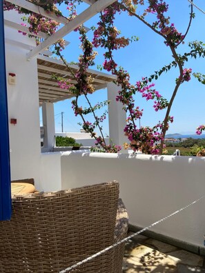 Balcony - Spanos Apartments (Andros)