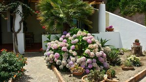 A garden with a variety of plants, including hydrangeas and cacti, in front of a white building with a stone pathway. - B&B Il Cappero (Lipari)
