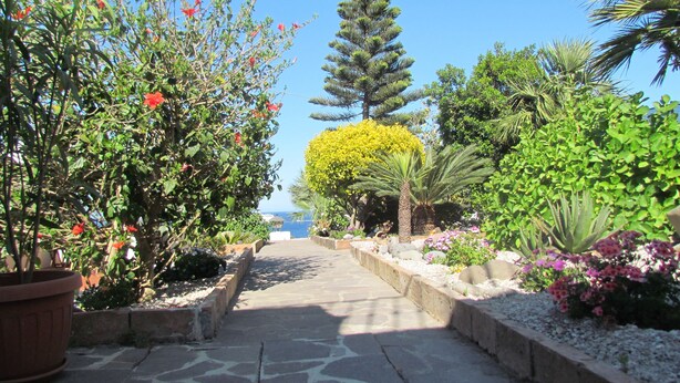 A pathway leading through a garden with various plants and a tall tree. - B&B Il Cappero (Lipari)