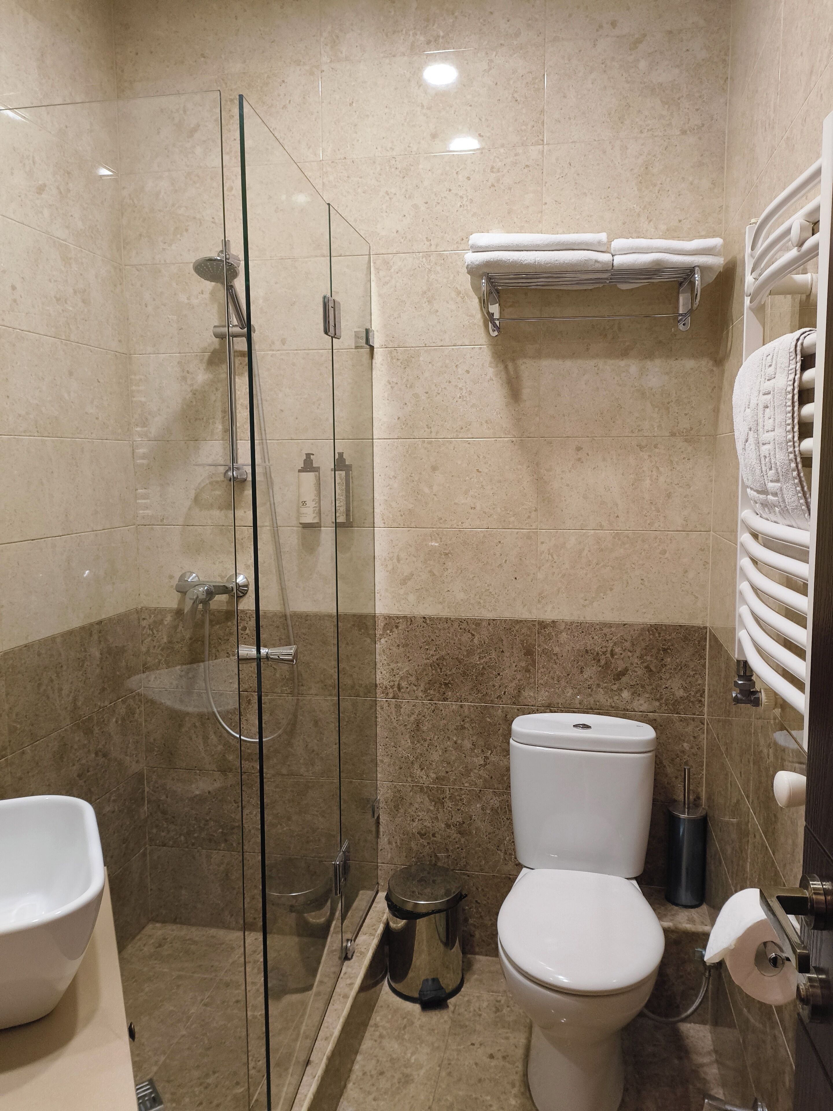 A modern bathroom with a glass-enclosed shower, a toilet, and a sink.