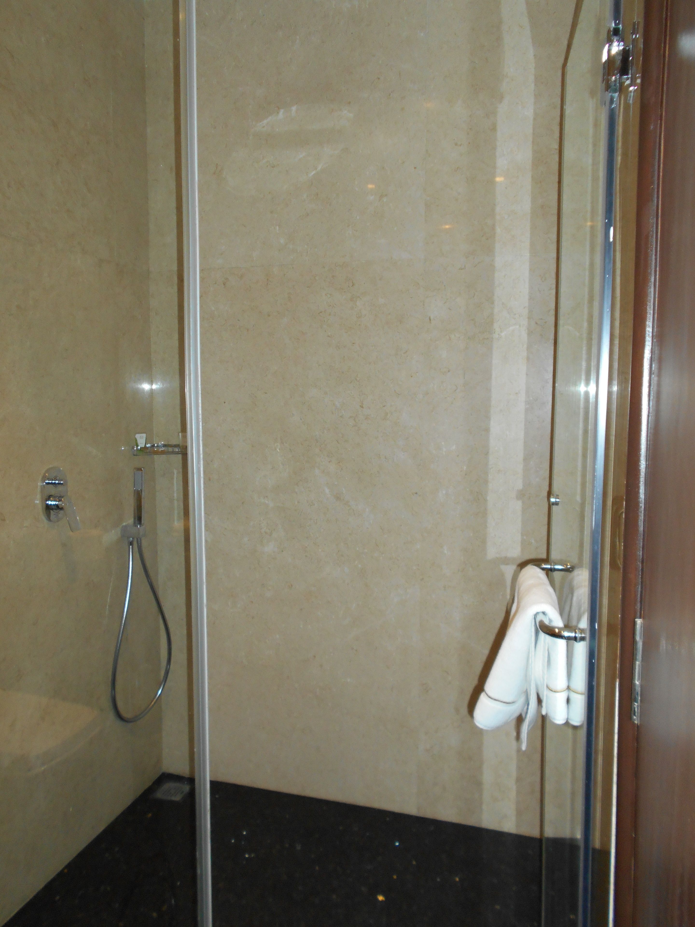 premier room | bathroom | separate bathtub and shower, deep-soaking bathtub, rainfall showerhead