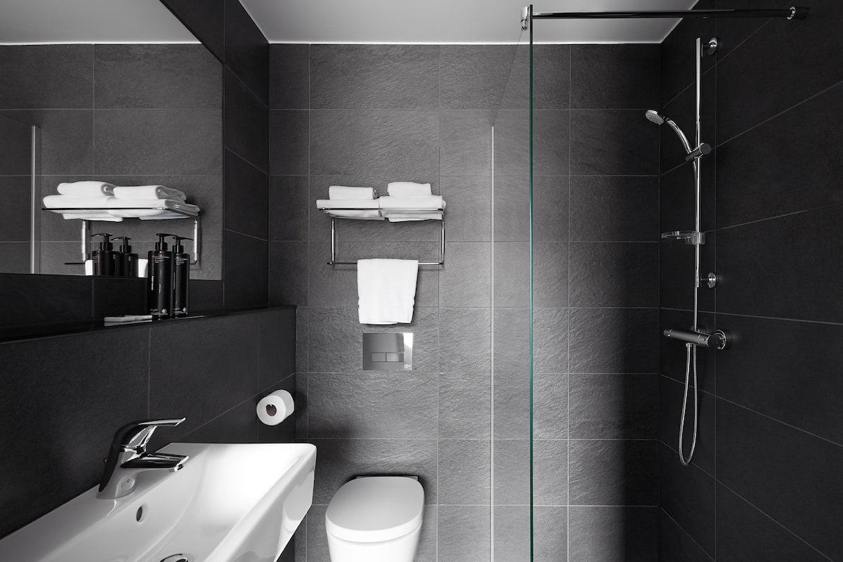 shower, free toiletries, hair dryer, towels