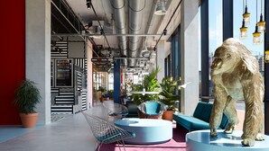 A modern interior with a circular seating area, a large potted plant, and a unique sculpture. - The Social Hub Groningen (Groningen)