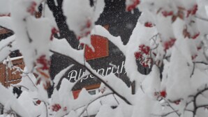 A building partially obscured by snow-covered branches. - Chalet Alpenruh (Saas-Fee)