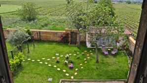 A vineyard with a stone wall, a small building with a red roof, and a grassy area with stepping stones and chairs. - Le Clos du Cher en Beaujolais (Saint-Germain-Nuelles)