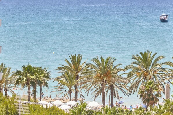 Vista des de l'allotjament