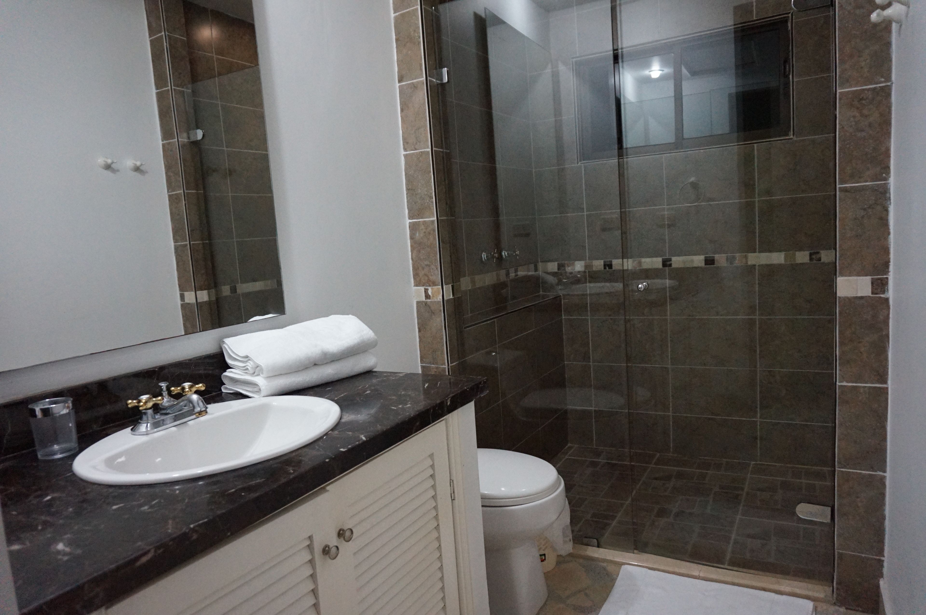 deluxe double room, 1 king bed, garden view | bathroom | shower, free toiletries, towels