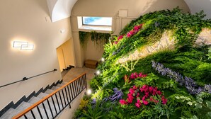 Una escalera con barandilla, una pared con vegetación y una ventana.