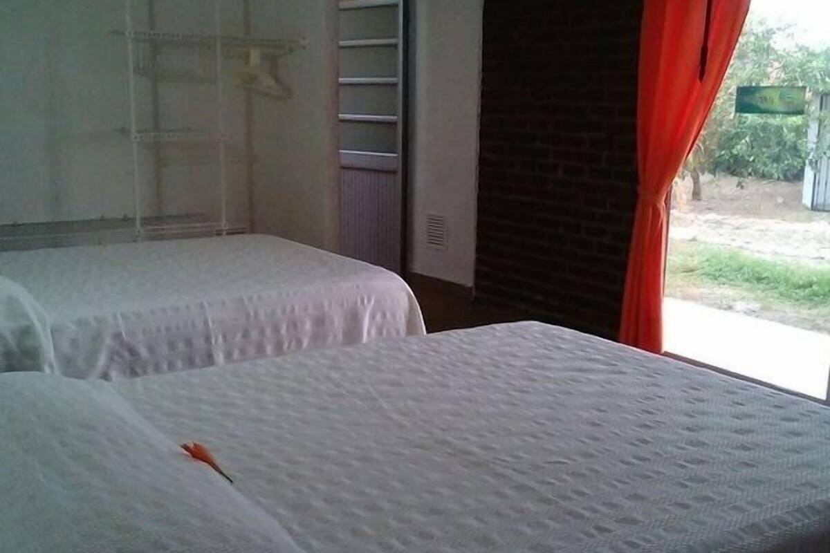Free rollaway beds
