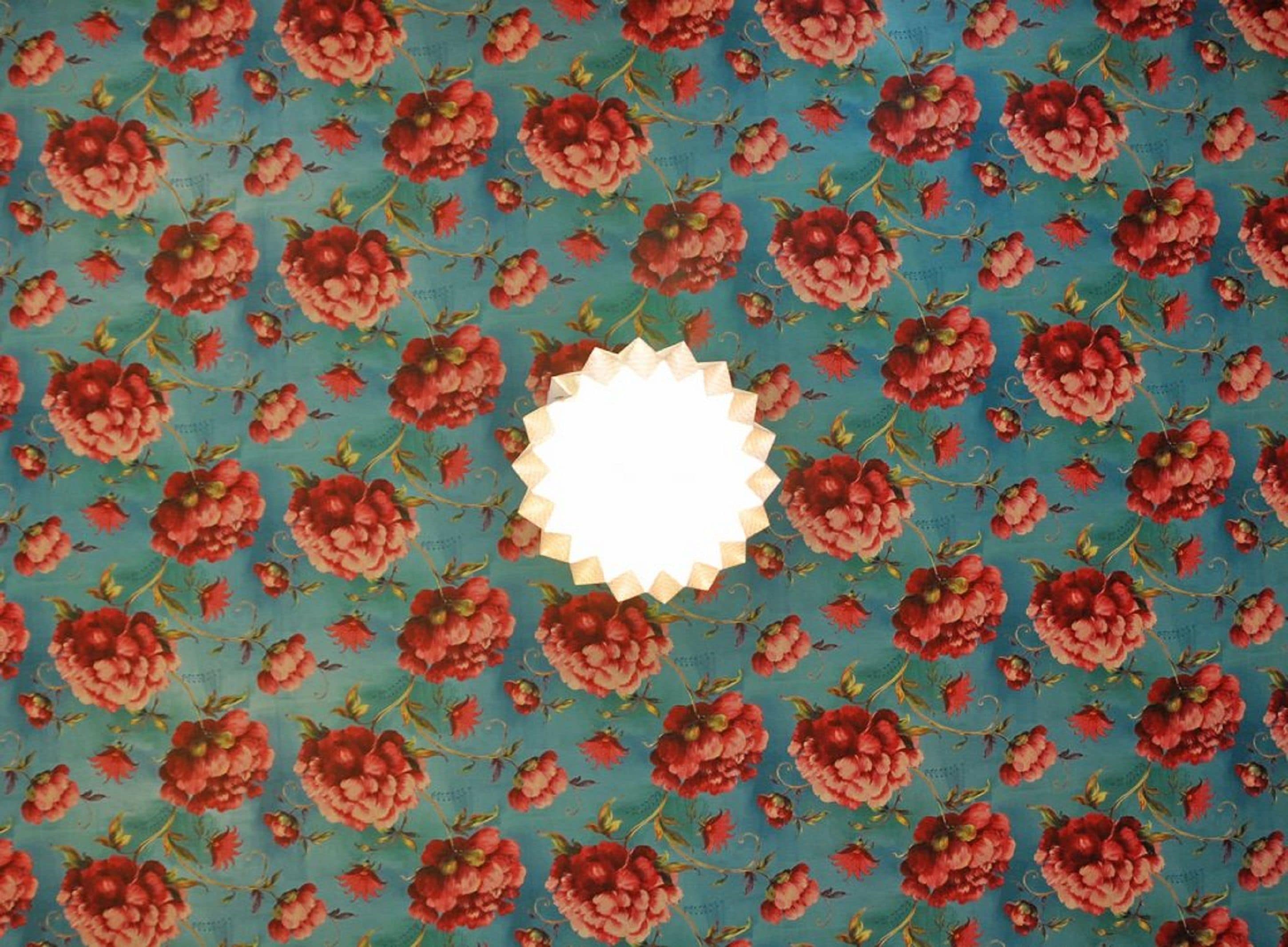 garden suite - reschgasse 4 | room amenity